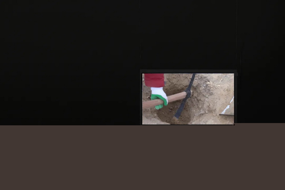 7.webp1.jpg